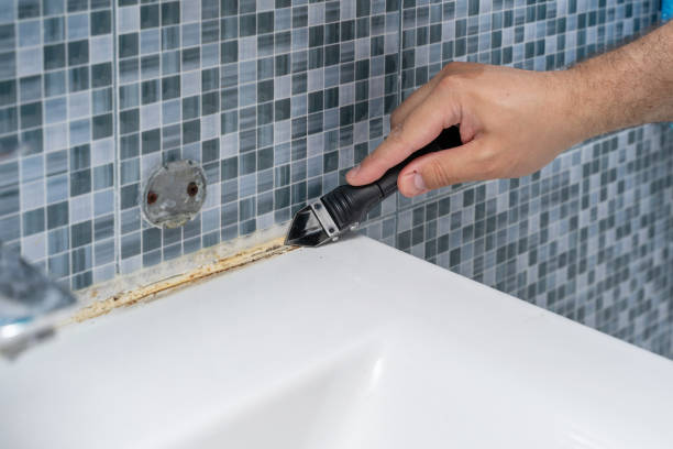 Best DIY Mold Remediation Support Services in Leesburg, OH